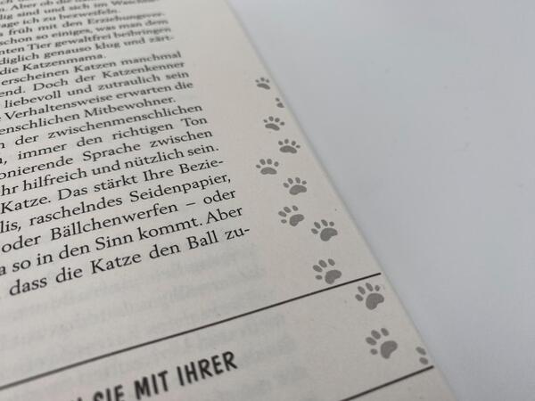 Innenansicht des Buches „Pfoten vom Tisch!“