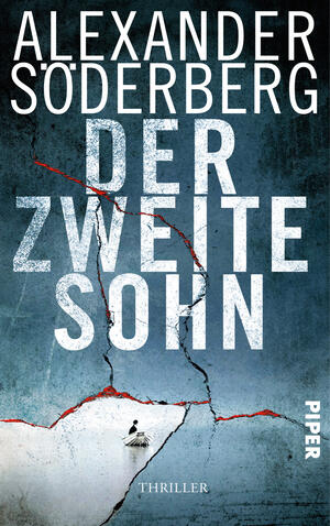 Der zweite Sohn (Die Sophie-Brinkmann-Trilogie 2)