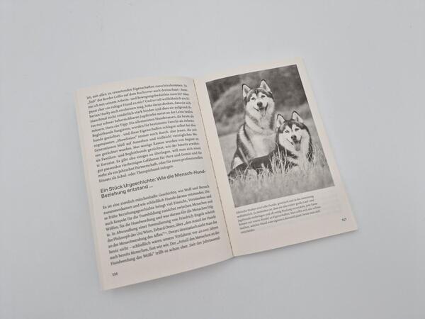 Außenansicht des Buches „Warum Hunde uns zu besseren Menschen machen“