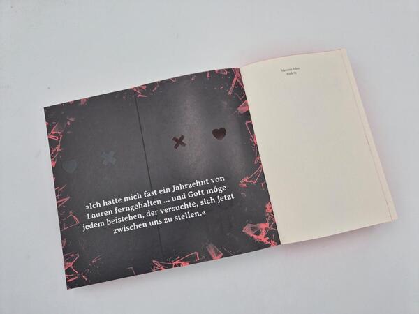 Außenansicht des Buches „Rush In“