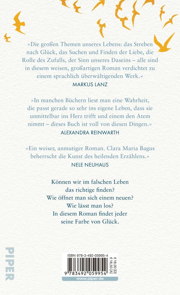 Rückansicht des Buches „Die Farbe von Glück“