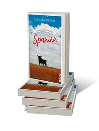 Bücherstapel des Buches „Gebrauchsanweisung für Spanien“