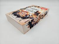 Außenansicht des Buches „Night of Shadows and Flames – Die Ewige Nacht“