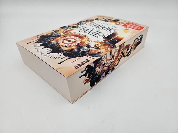 Außenansicht des Buches „Night of Shadows and Flames – Die Ewige Nacht“