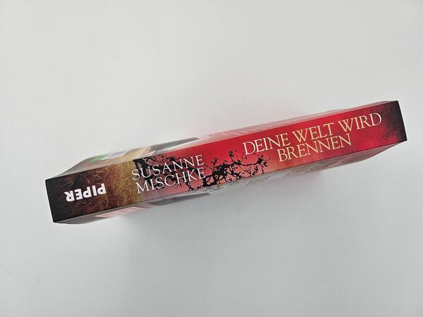 Innenansicht des Buches „Deine Welt wird brennen“