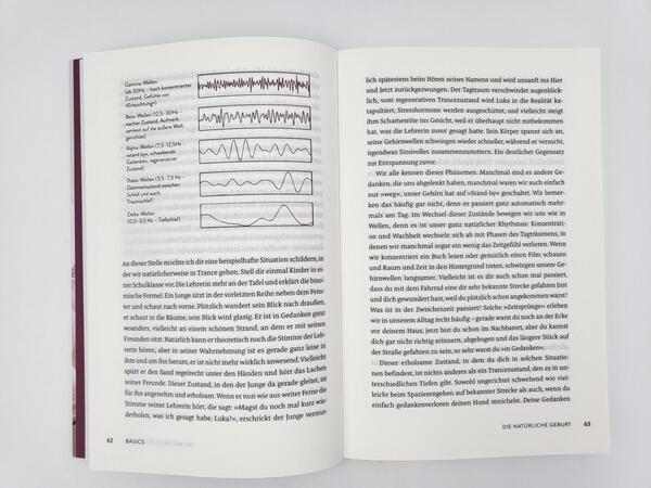 Innenansicht des Buches „Die Friedliche Geburt“