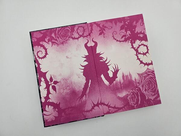 Außenansicht des Buches „Feenfluch – Dein Wunsch soll erfüllt werden ...“