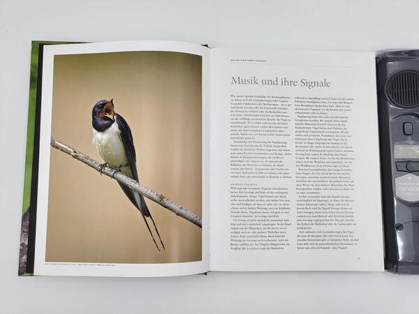 Innenansicht des Buches „Vogelstimmen“