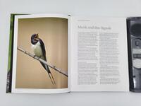 Innenansicht des Buches „Vogelstimmen“