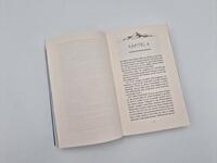 Außenansicht des Buches „Beyond his Reach“