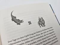 Außenansicht des Buches „Raybearer – Der Pakt der Abiku“