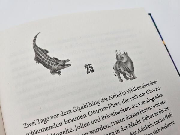 Außenansicht des Buches „Raybearer – Der Pakt der Abiku“