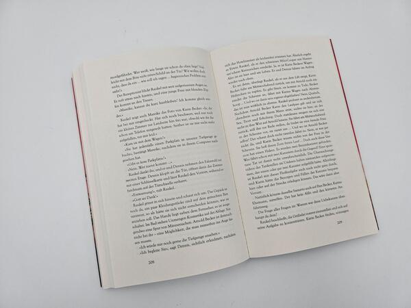 Innenansicht des Buches „Deine Welt wird brennen“