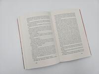 Innenansicht des Buches „Deine Welt wird brennen“