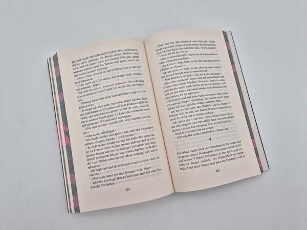 Außenansicht des Buches „Falls Boys“