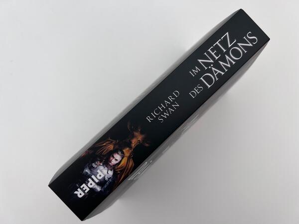 Innenansicht des Buches „Im Netz des Dämons“