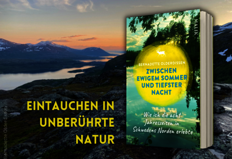 Bernadette Olderdissens „Zwischen ewigem Sommer und tiefster Nacht“ vor bergiger Landschaft