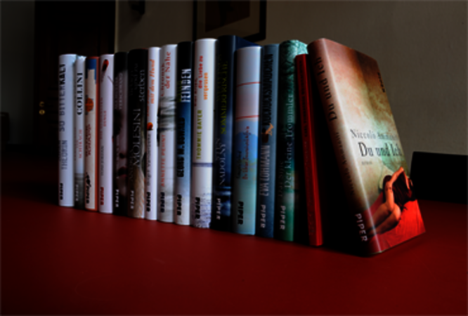 Buchtipps Romane 