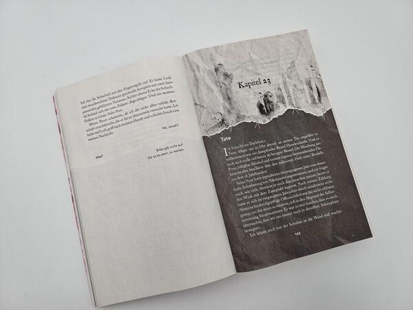 Außenansicht des Buches „Darling Venom – Ihre Liebe ist sein Lieblingsgift“