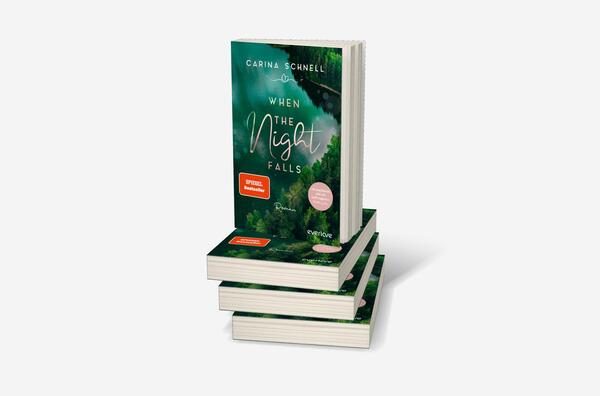 Bücherstapel des Buches „When the Night Falls “