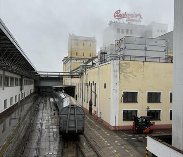 Eine Brauerei bei Regen und Nebel. Auf dem Hof sind Schienen mit einem Waggon, gelbe und weiße Gebäude und ein „Budweiser“-Logo auf einem der Dächer zu sehen.