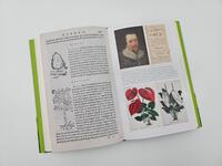 Außenansicht des Buches „Die Superkraft der Pflanzen“