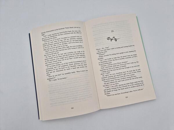 Außenansicht des Buches „Hidden Scars (English Edition)“