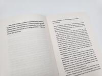 Innenansicht des Buches „Der Aufstieg – In eisiger Höhe wartet der Tod“