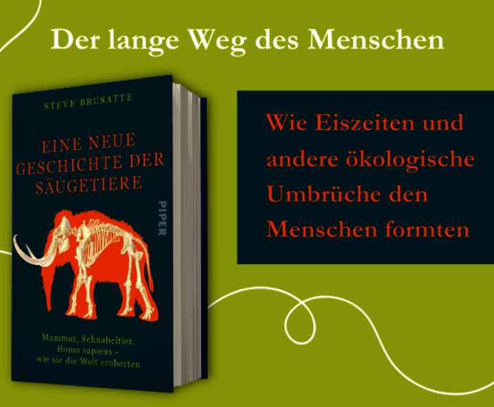 Steve Brusattes „Eine neue Geschichte der Säugetiere“