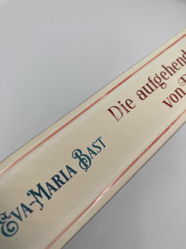 Innenansicht des Buches „Die aufgehende Sonne von Paris“