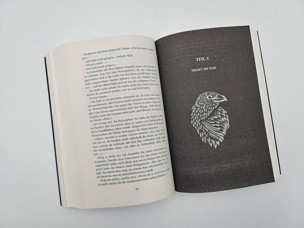 Außenansicht des Buches „The Curse of Sins“
