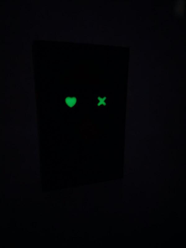 Außenansicht des Buches „Die Evolution des Gehirns“