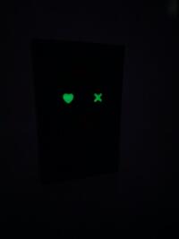 Außenansicht des Buches „Die Evolution des Gehirns“