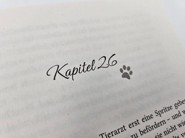 Außenansicht des Buches „Pfotenglück – Dackel Max sucht Wolke sieben“