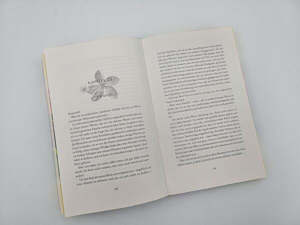 Außenansicht des Buches „The Paradise Problem – Wenn das Herz den perfekten Plan durchkreuzt“