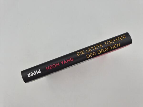 Außenansicht des Buches „Die letzte Tochter der Drachen“
