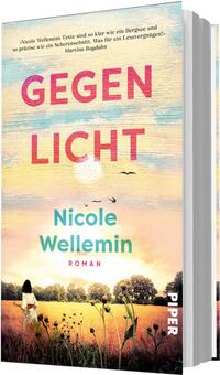 Das Buchcover zeigt einen pastellfarbenen Sonnenaufgang oder -untergang in Pinselstrich-Optik, oben der Titel „GEGEN LICHT“ in großen, kräftigen rosa-roten Buchstaben. Darunter der Autorenname Nicole Wellemin in türkis, klein darunter „ROMAN“ in rotem Versalschriftzug. Im Vordergrund ein goldenes, sonnenbeschienenes Feld mit wilden Gräsern und einer Rückenfigur einer Frau, am Horizont Bäume und fliegende Vögel; die Stimmung ist warm und melancholisch.