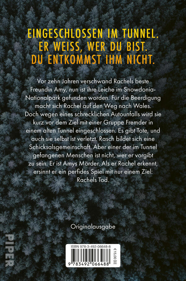 Rückansicht des Buches „Der Tunnel“