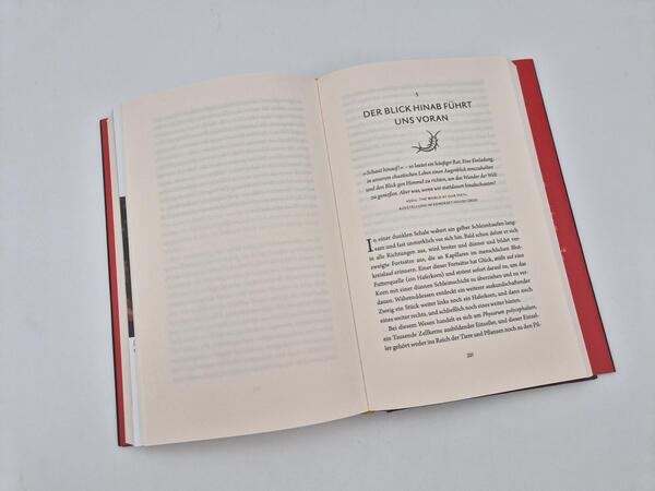 Außenansicht des Buches „Die Welt unter unseren Füßen“