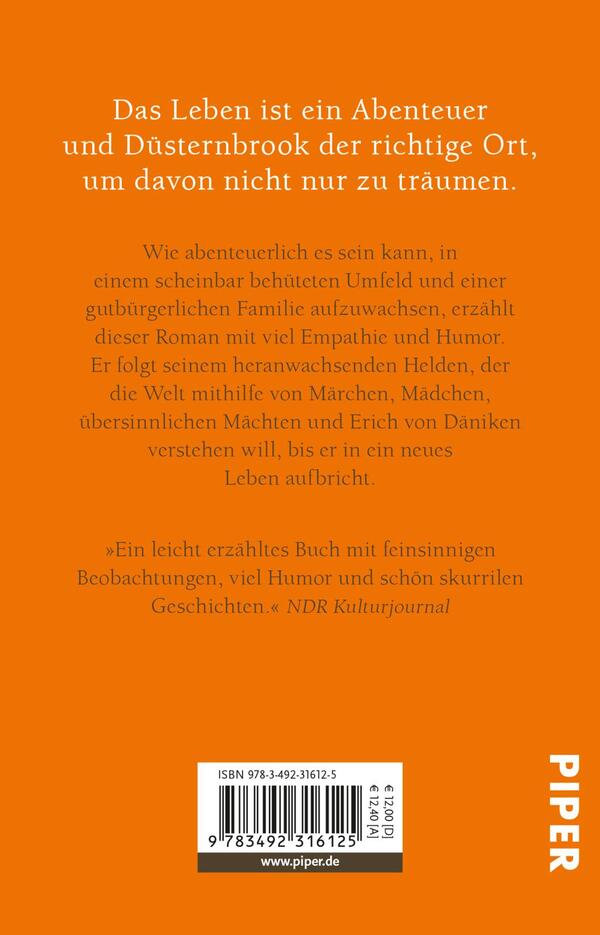 Rückansicht des Buches „Düsternbrook“