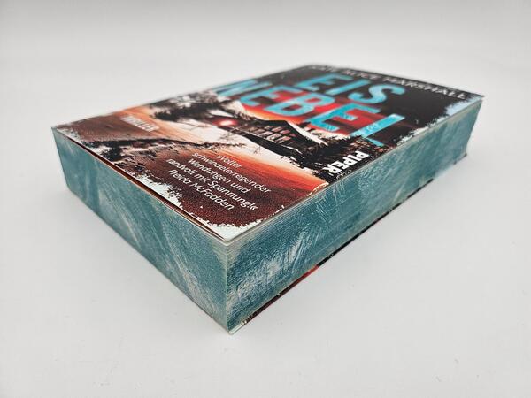 Außenansicht des Buches „Eisnebel“