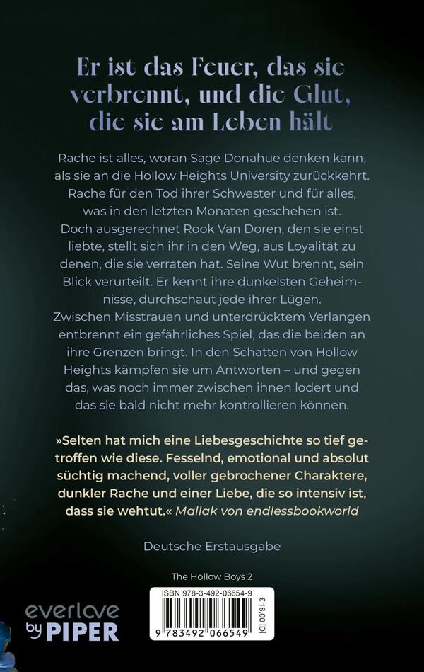 Rückansicht des Buches „The Truths we burn“