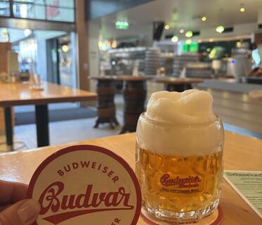 Ein kleines bauchiges Glas mit hellem Budvar-Bier samt Schaumkrone steht auf einem Holztisch. Daneben wird ein weißer Bierdeckel mit der roten Aufschrift „Budweiser Budvar Czech Lager“ hochgehalten. Im Hintergrund ist verschwommen der helle Innenraum einer Gaststätte mit Barbereich erkennbar.