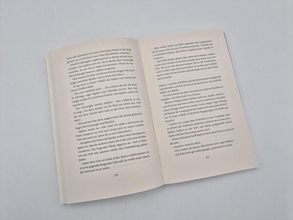 Außenansicht des Buches „The Baby Dragon Café“