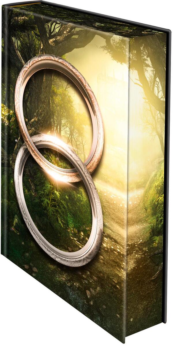 Außenansicht des Buches „Rings of Fate (Deluxe-Ausgabe)“