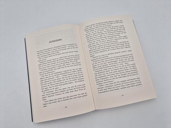 Außenansicht des Buches „Once a Villain“