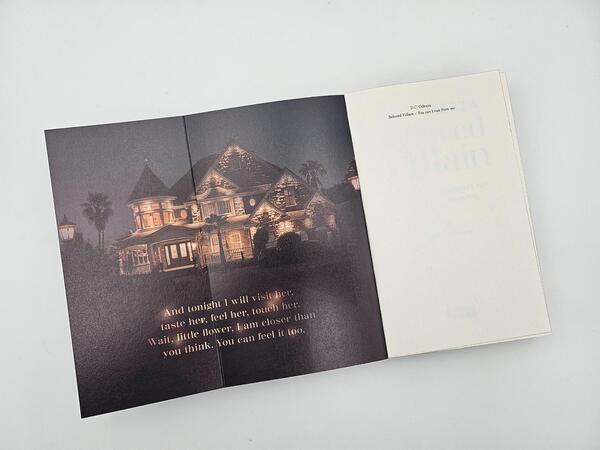 Außenansicht des Buches „Beloved Villain – You can't run from me (English Edition)“