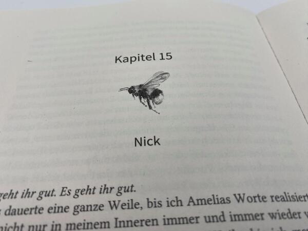 Innenansicht des Buches „Dreams so golden“