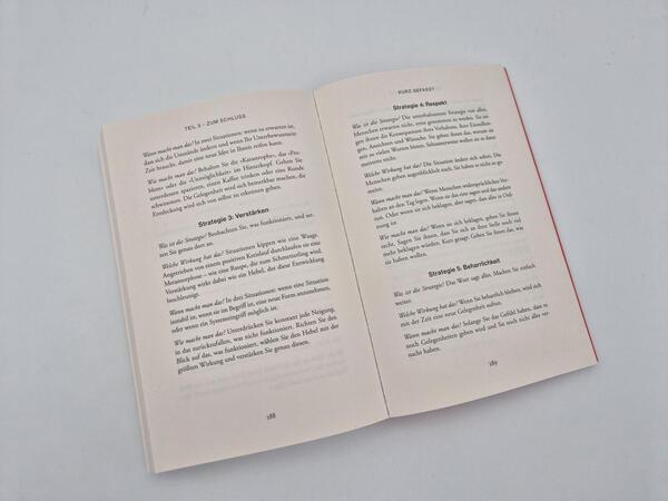 Außenansicht des Buches „FLIP Thinking“