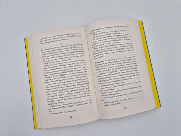 Außenansicht des Buches „Niemands Töchter“